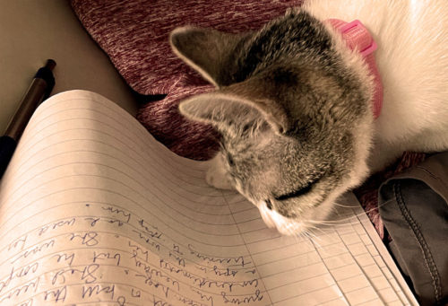 Cat chewing on journal page